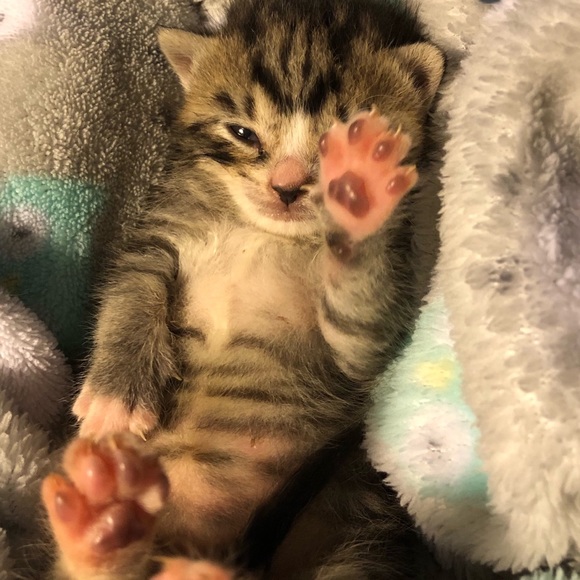 Meet your Posher, Mariuxi - Picture 1 of 2